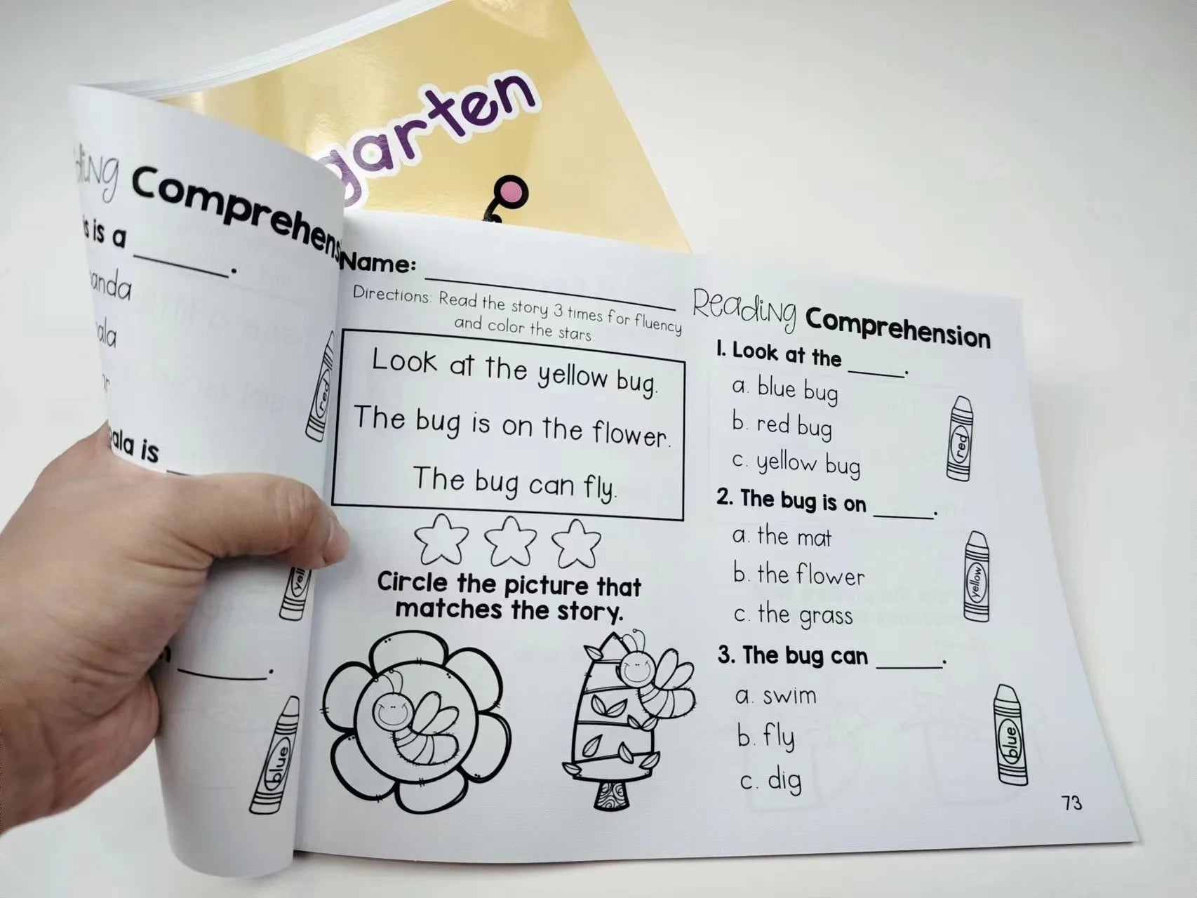 Reading Comprehension  Kindergarten Using Sentences Pictures and Questions