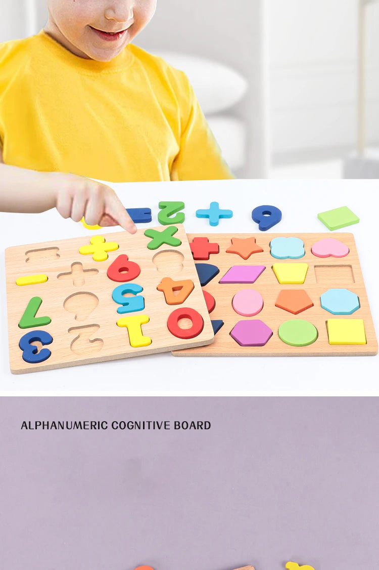 Alphabetic Arithmetic Number Geometric Shapes Wooden Puzzles