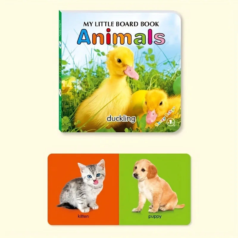 Colorful Pattern Card Board Books For Language DevelopmentI