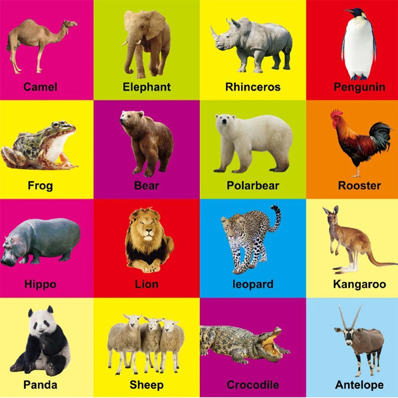 0-2 Years Children Learning Cognitive Books