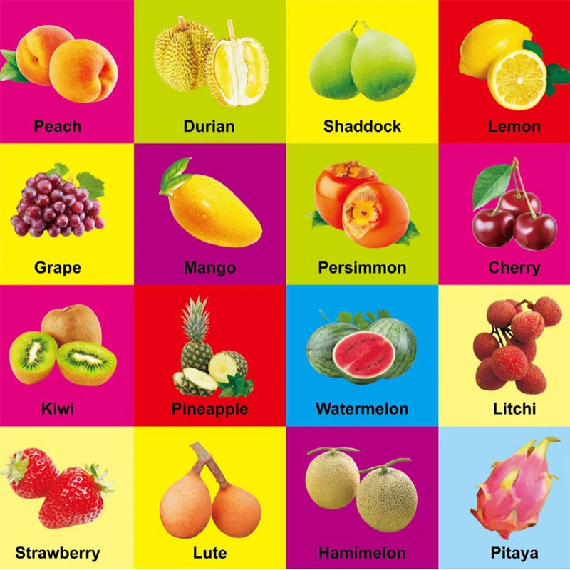 0-2 Years Children Learning Cognitive Books